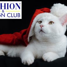 Merry Christmas and Happy New Year